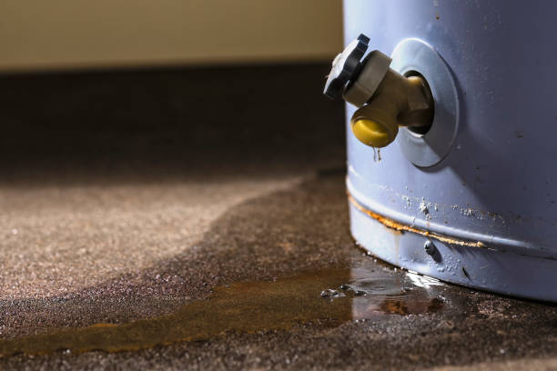 Reliable Sweeny, TX Water damage restoration Solutions