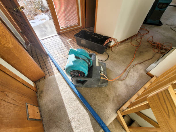 Best Local water damage restoration  in Sweeny, TX
