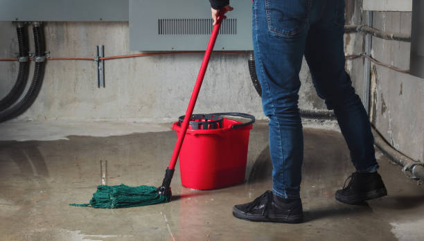 Best Mold removal after water damage  in Sweeny, TX