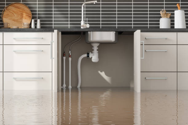 Best Water damage restoration near me  in Sweeny, TX