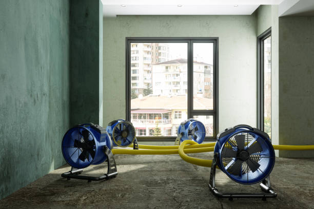 Water damage restoration insurance claims in Sweeny, TX